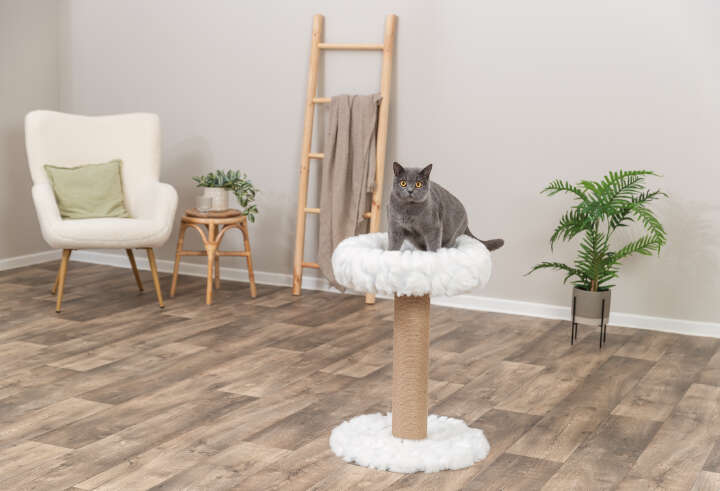 TRIXIE Kratzbaum Mirella